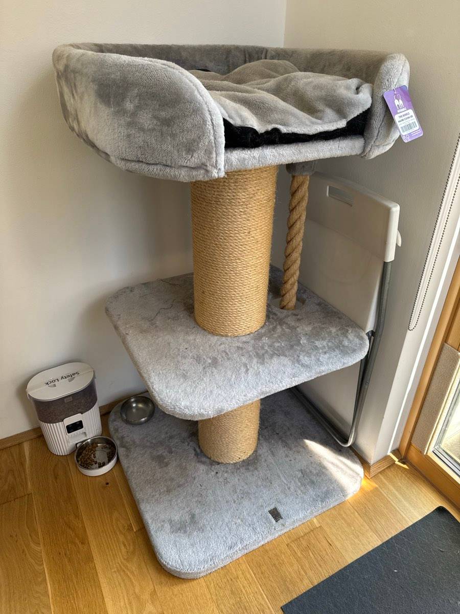 junior trockenfutter katzen Insect food for kittens & young cats