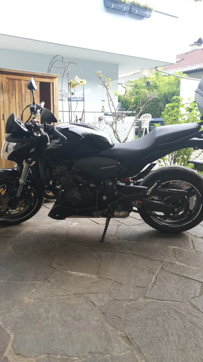 Honda Hornet