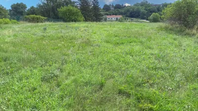 Grundstück zum Kauf in Gänserndorf