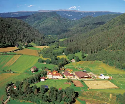 Immobilie kaufen in Sankt Veit an der Glan – 124 448 m² – Bild 15 von 24