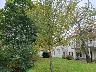 11-Zimmer-Immobilie kaufen in Graz-Umgebung – 280 m², € 698.000 – Bild 11 von 34