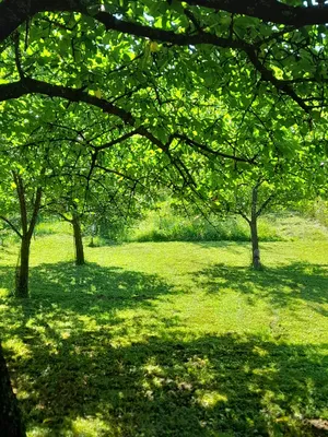 2-Zimmer-Wohnung kaufen in Oberwart – 50 m², € 45.000 – Bild 15 von 24