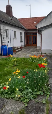 6-Zimmer-Gewerbeimmobilie kaufen in Bruck an der Leitha – 250 m², € 290.000 – Bild 21 von 23