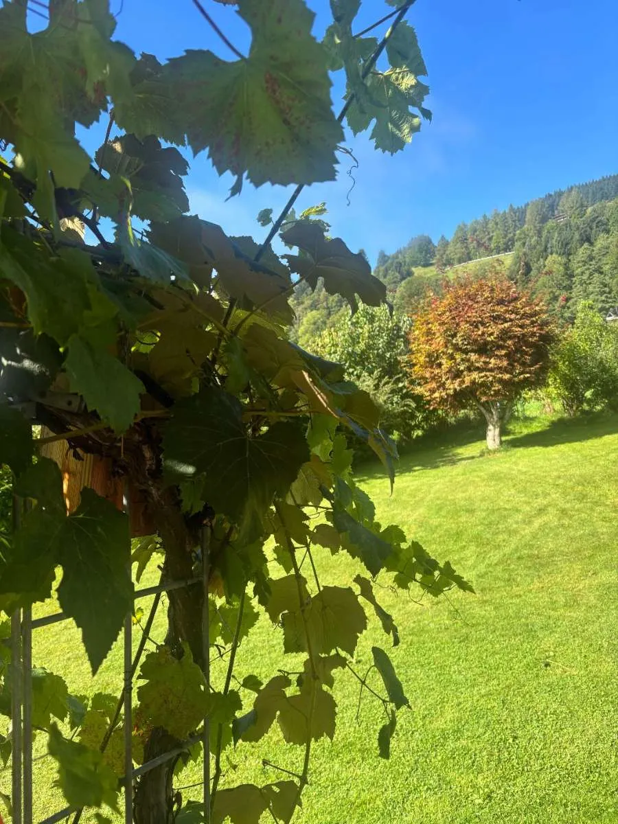 Hochwertige Gartenwohnung! – pohled 3