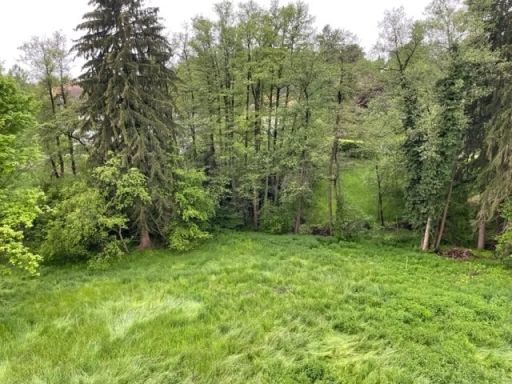 Graz-Rosenberg: Wohnen, wo andere spazieren gehen - Sonniges Baugrundstück in Toplage nähe Hilmteich! – pohled 2