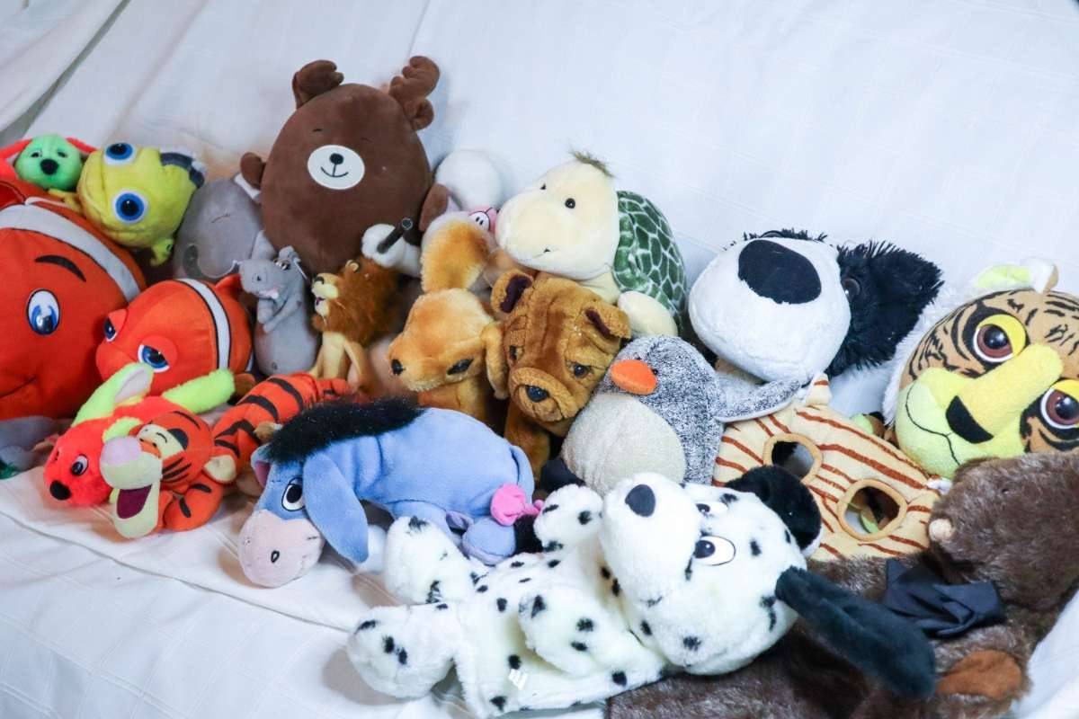 22 Plüschtiere, Stofftiere, Sammlung, Hund, Tiger, Fisch, Robbe, Zoo, Bauernhof, Waldtiere, Kuscheltier, Diddl, Nici, Handpuppe