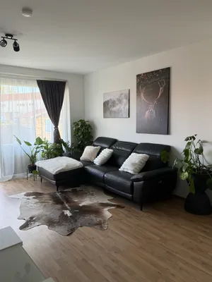 2-Zimmer-Wohnung mieten in Hollabrunn – 52 m², € 701