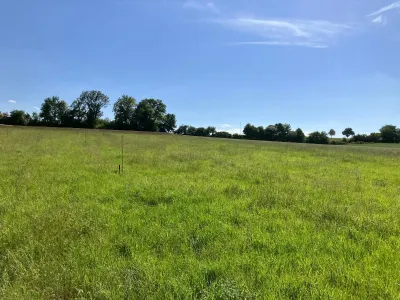 Grundstück mieten in Korneuburg – 736 m², € 559 – Bild 11 von 13