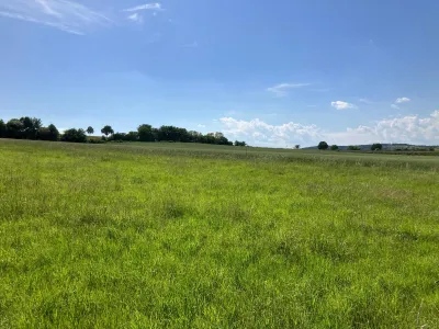 Grundstück mieten in Korneuburg – 736 m², € 559 – Bild 12 von 13