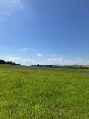 Grundstück mieten in Korneuburg – 736 m², € 559 – Bild 9 von 13