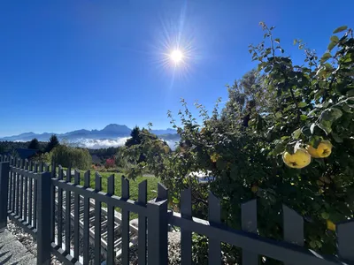 1-Zimmer-Wohnung kaufen in Gmunden – 100 m², € 365.000 – Bild 17 von 18