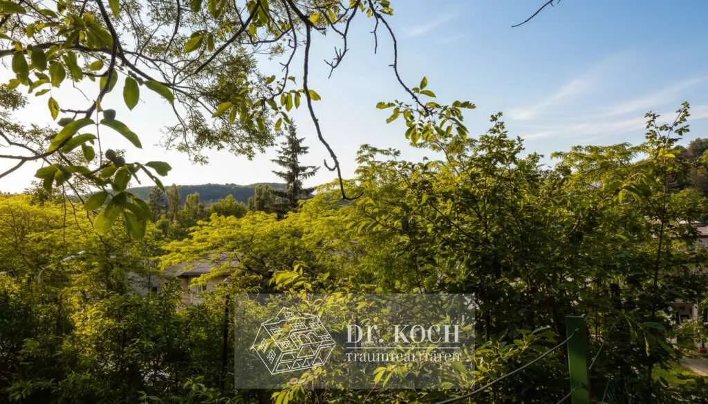 Neustift am Walde | Villenlage mit Aussicht | Absolute Ruhe | Top Baugrund mit Baubewilligung - Widok 3