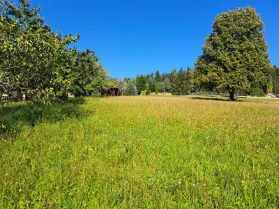 Grundstück kaufen in Hartberg-Fürstenfeld – 1 413 m², € 73.476 – Bild 7 von 9