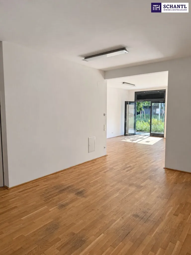 Businessfläche mit optimaler Sichtbarkeit - Wagramer Straße ab sofort! Nähe Kagraner Platz/Kagran - Ansicht 2