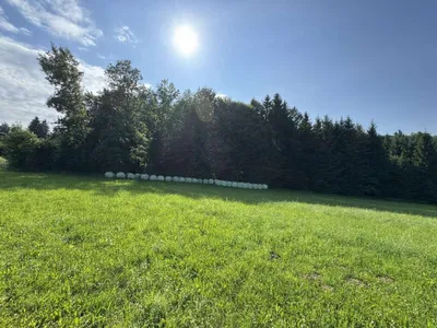 Grundstück kaufen in Graz-Umgebung – 4 639 m², € 229.000 – Bild 6 von 11