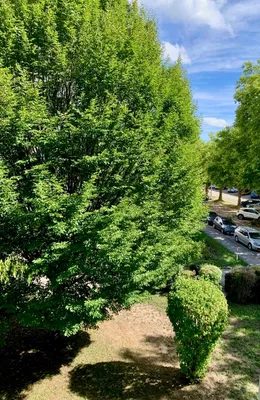 2-Zimmer-Wohnung mieten in Linz – 61 m², € 870 – Bild 4 von 12