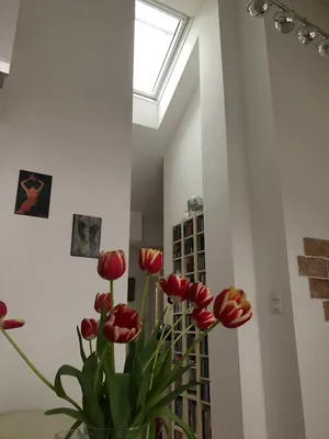 2-Zimmer-Wohnung kaufen in Wien – 60 m², € 539.000 – Bild 12 von 17