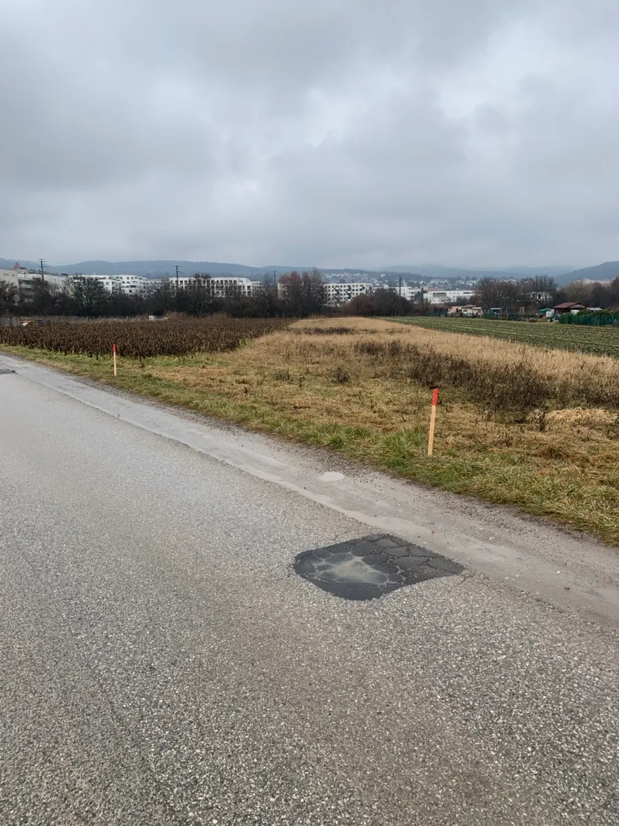 1169 m² Kleingarten in Eisenstadt