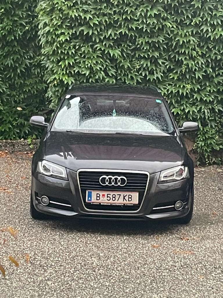 AudiA3S-Line/2.0TDISportwagen/Coupé