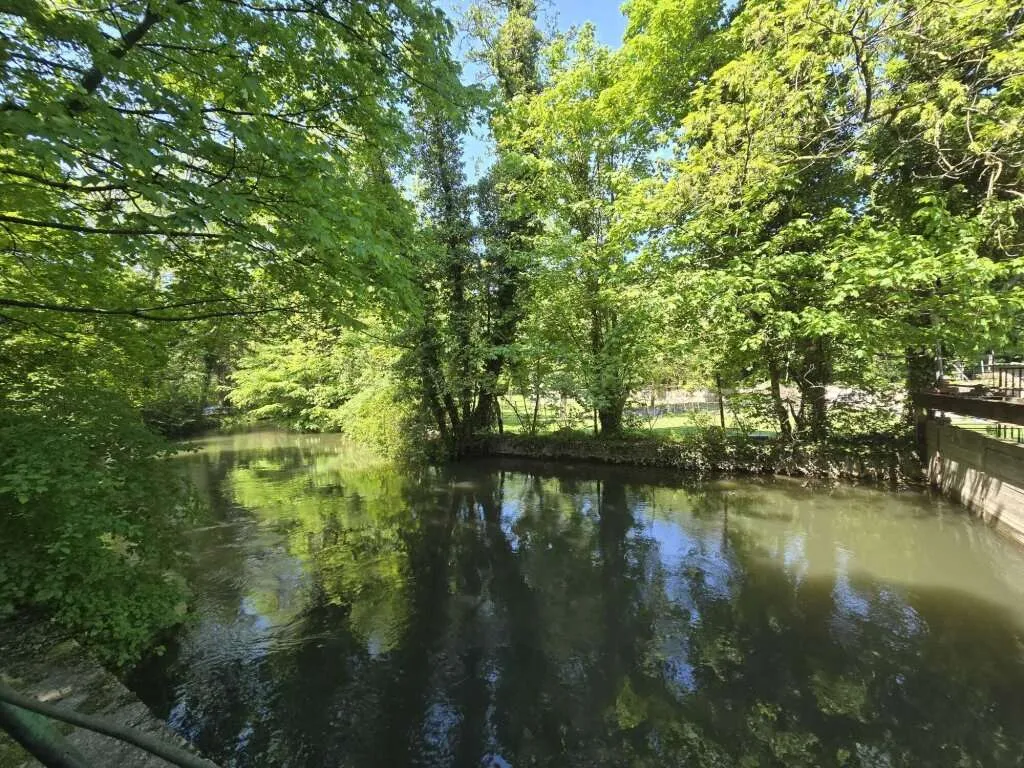 +ERSTBEZUG*Traumhaftes Reihenmittelhaus in Ebenfurth mit direktem Blick auf den Fischa-Fluss + 5 Zimmer + Kamin + Garten + Bahnhofsnähe ++ - Widok 2