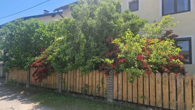 7-Zimmer-Immobilie kaufen in Klagenfurt Land – 220 m², € 380.000 – Bild 11 von 25