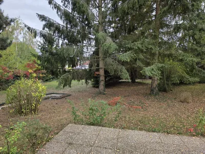 4-Zimmer-Haus mieten in Horn – 113 m², € 1.760 – Bild 19 von 60