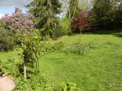 3-Zimmer-Haus mieten in Wiener Neustadt Land – 65 m², € 855 – Bild 5 von 13