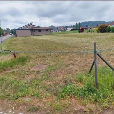 Grundstück kaufen in Leibnitz – 1 240 m² – Bild 1 von 9