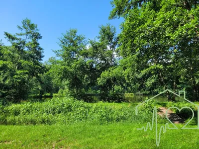 Immobilie kaufen in Oberwart – 30 m² – Bild 5 von 12