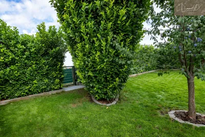 4-Zimmer-Haus kaufen in Gänserndorf – 132,79 m², € 729.000 – Bild 80 von 87