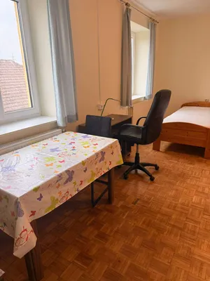 1-Zimmer-Wohnung mieten in Sankt Pölten Land – 60 m², € 540 – Bild 6 von 9