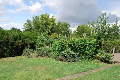 5-Zimmer-Haus kaufen in Gänserndorf – 140 m², € 269.000 – Bild 8 von 22