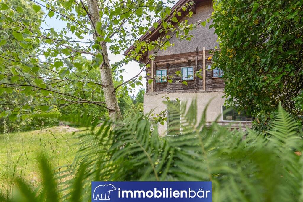 Traumhaftes Sacherl in Alleinlage - ca. 18.300 m² Naturparadies mit genehmigtem Umbaukonzept in Eschenau - Ansicht 2