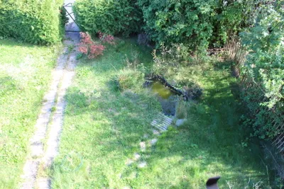4-Zimmer-Haus kaufen in Murtal – 115 m², € 219.000 – Bild 6 von 40