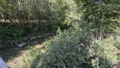 Grundstück kaufen in Baden – 732 m², € 159.000 – Bild 5 von 8