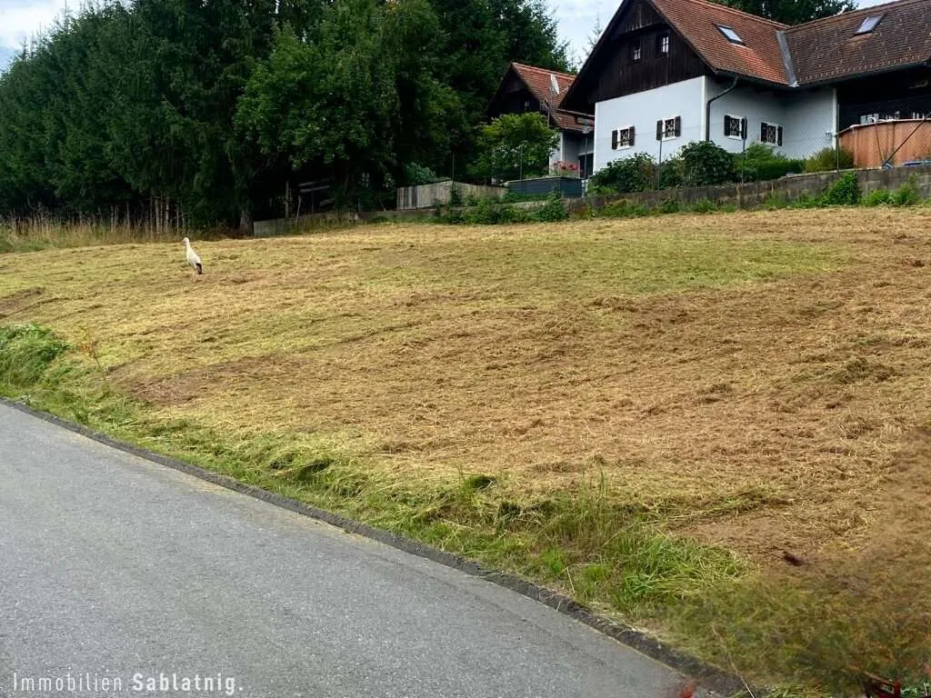 RUHELAGE & AUSSICHTSLAGE! Baugrundstück nahe Graz! - Ansicht 2