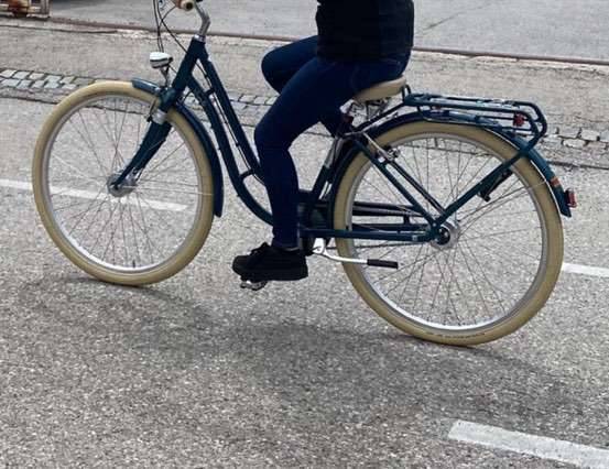 Viverty Hercules Citybike in Petrol,  400,- (2700 Wiener Neustadt) -  willhaben