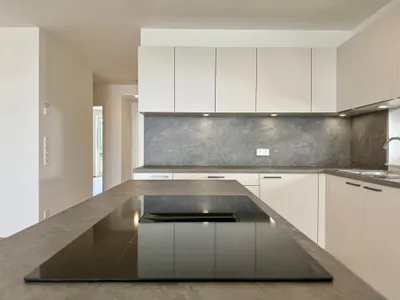 4-Zimmer-Wohnung mieten in Wels-Land – 90,77 m², € 1.538 – Bild 3 von 29