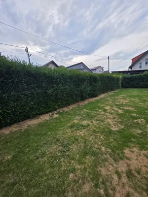 Grundstück kaufen in Mödling – 1 317 m², € 1.400.000 – Bild 9 von 13