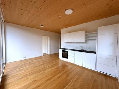 Neubau in Massivholzbauweise – Bild 2