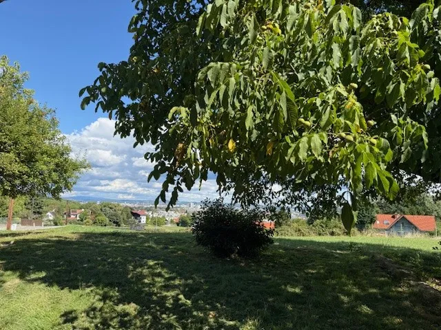 Baugrundstück mit Weitblick - Toplage am Grazer Kehlberg - Ansicht 2