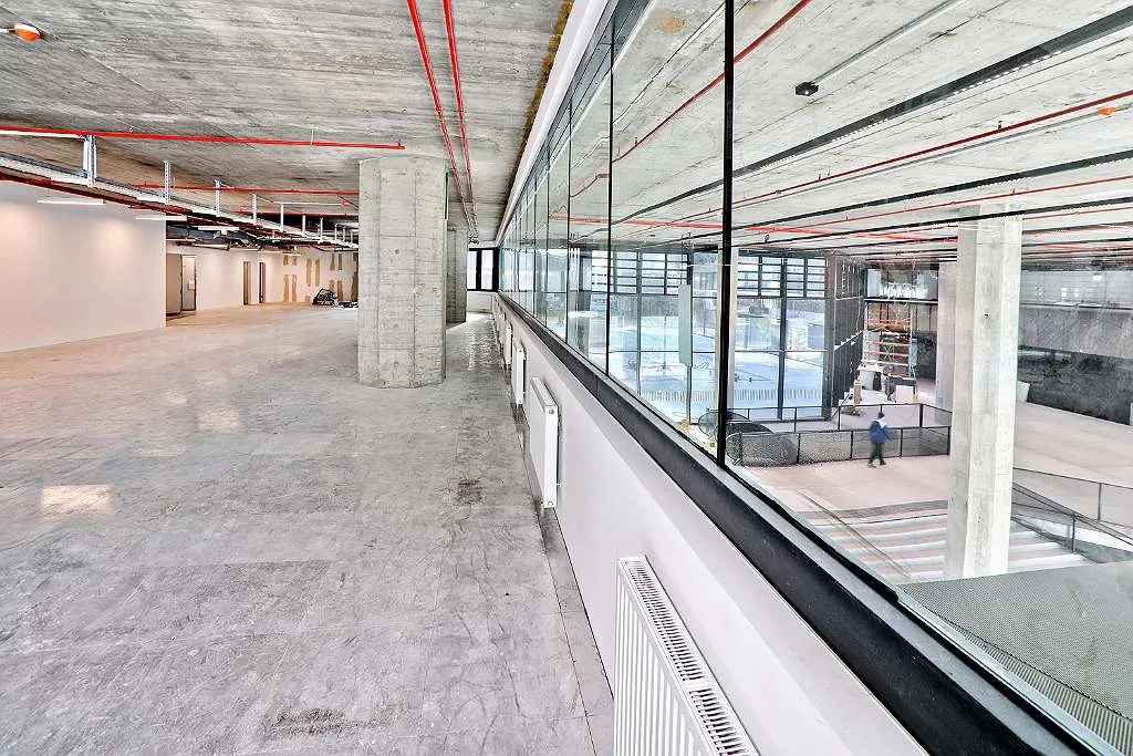 FRANCIS - 1.238 m² Büroloft auf einer Ebene - Ansicht 3