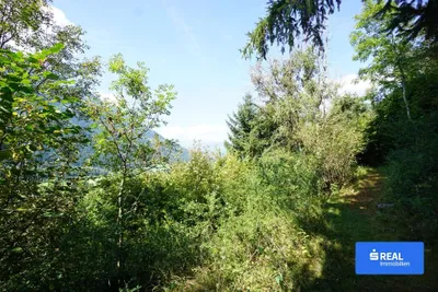 Grundstück kaufen in Spittal an der Drau – 14 986 m², € 95.000 – Bild 3 von 8