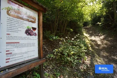 Grundstück kaufen in Spittal an der Drau – 14 986 m², € 95.000 – Bild 7 von 8