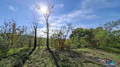 Gewerbeimmobilie kaufen in Gänserndorf – 438,8 m², € 399.000 – Bild 25 von 34