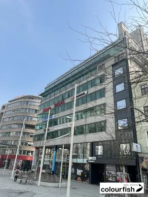 Gewerbeimmobilie mieten in Wien – 494 m², € 9.491 – Bild 2 von 7
