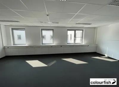 Gewerbeimmobilie mieten in Wien – 494 m², € 9.491 – Bild 5 von 7