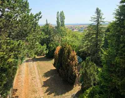 Grundstück zum Kauf in 2102 Korneuburg