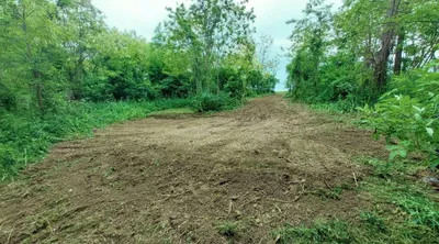 Grundstück mieten in Gänserndorf – 2 500 m², € 15.000 – Bild 2 von 3