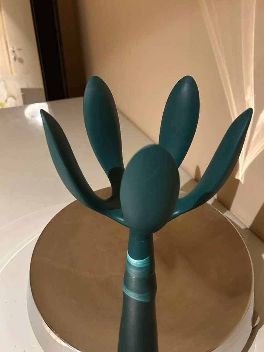for sale cactus Cactus Plants – Celebration Company